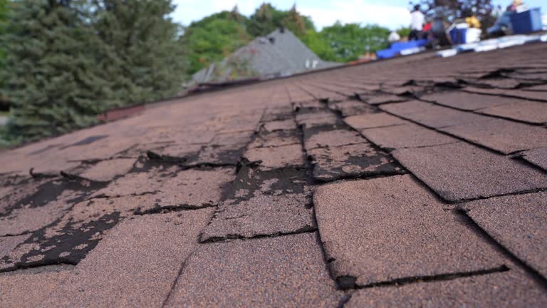 Best Wood Shake Roofing  in Truman, MN