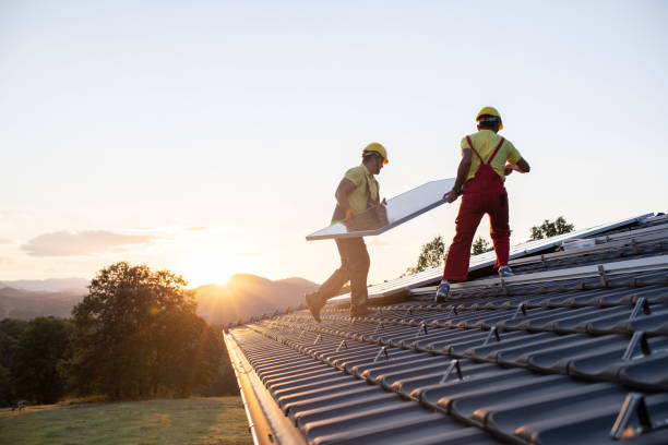 Best Asphalt Shingle Roofing  in Truman, MN