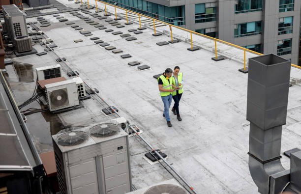 Best Hot Roofs  in Truman, MN