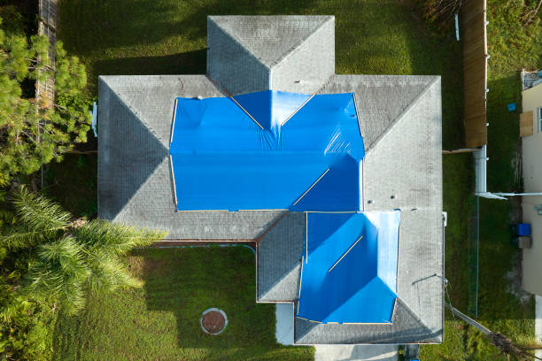 Best Steel Roofing  in Truman, MN