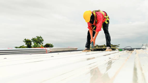 Best Solar Panel Roofing Installation  in Truman, MN