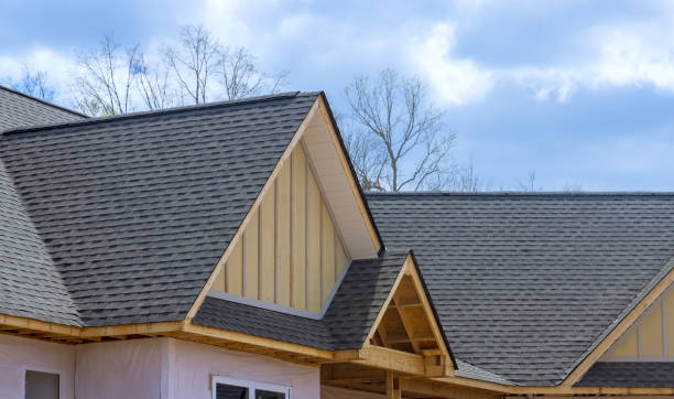 Best Roof Ventilation Installation  in Truman, MN