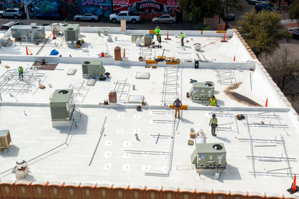 Best Roof Waterproofing  in Truman, MN