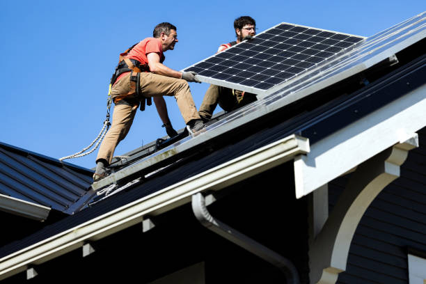 Best Commercial Roofing Services  in Truman, MN