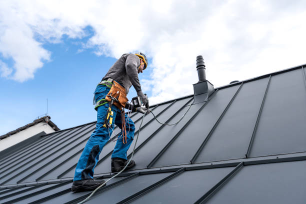 Best Gutter Installation and Repair  in Truman, MN