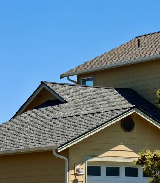 Best Rubber Roofing (EPDM, TPO)  in Truman, MN